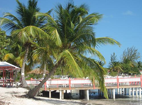 Beach Bar